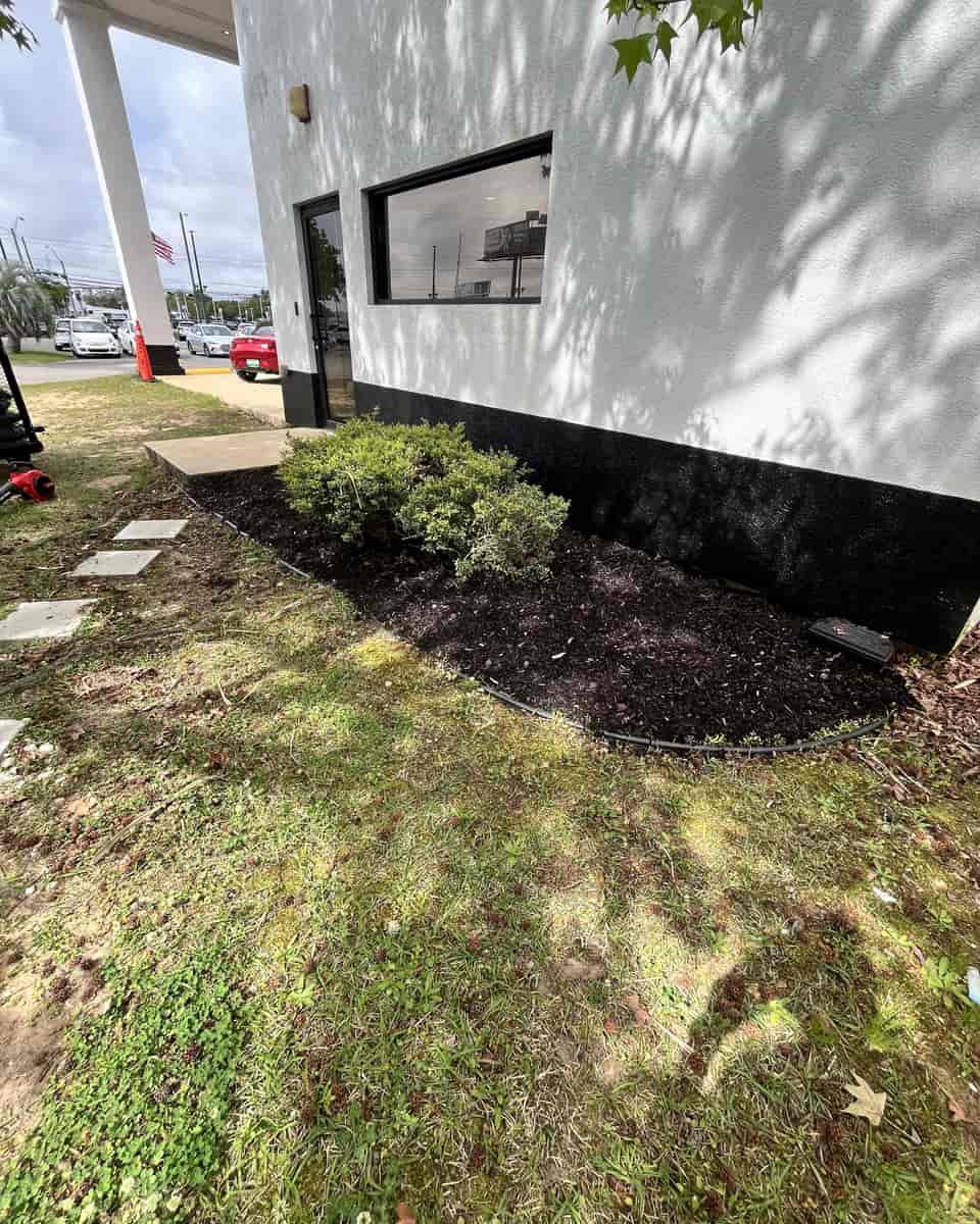 A freshly mulched bed with trimmed shrubs and a steel edge along the side of a white commercial building