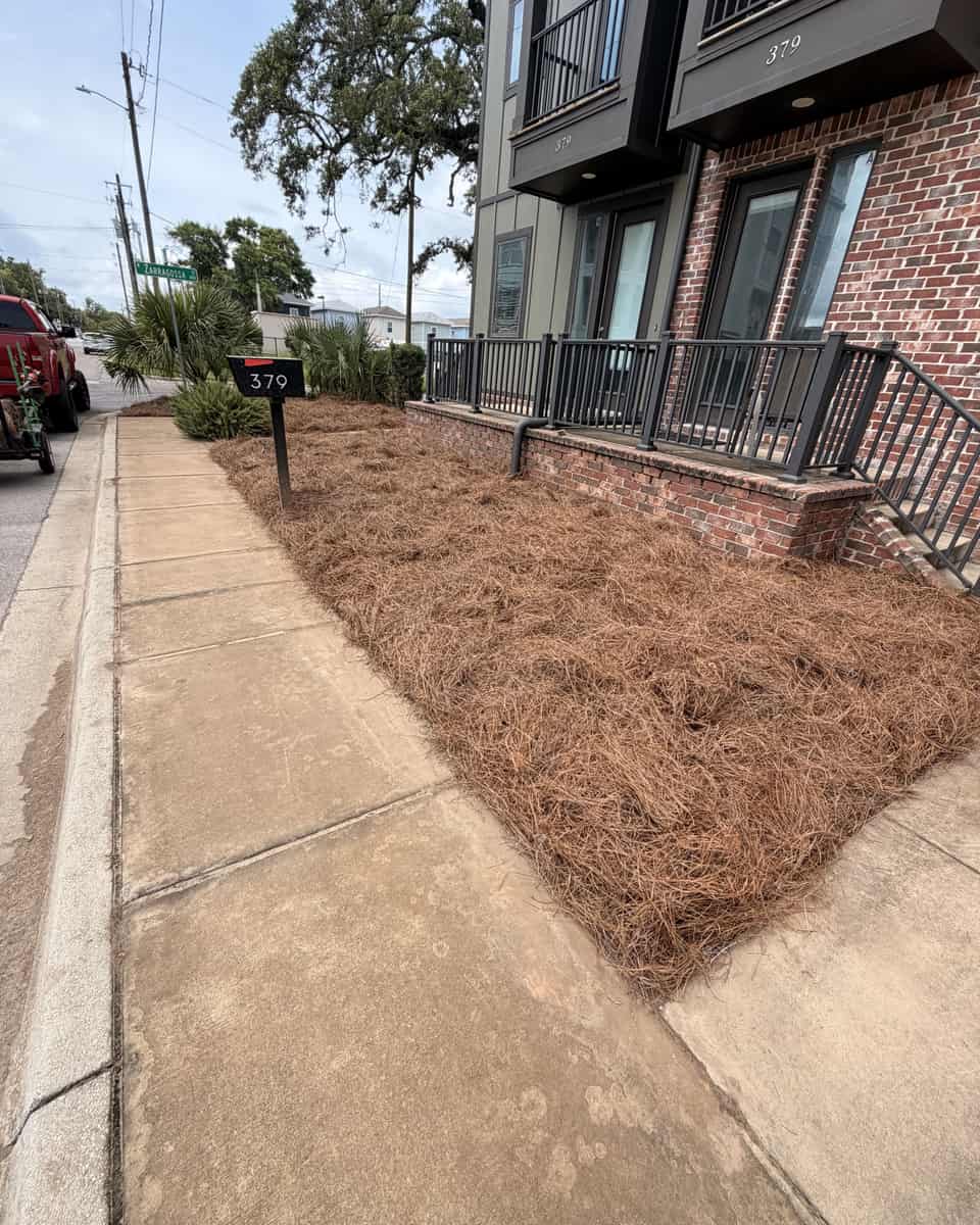 A fresh pine straw bed along a brick townhouse frontage and sidewalk, with a mailbox at the curb