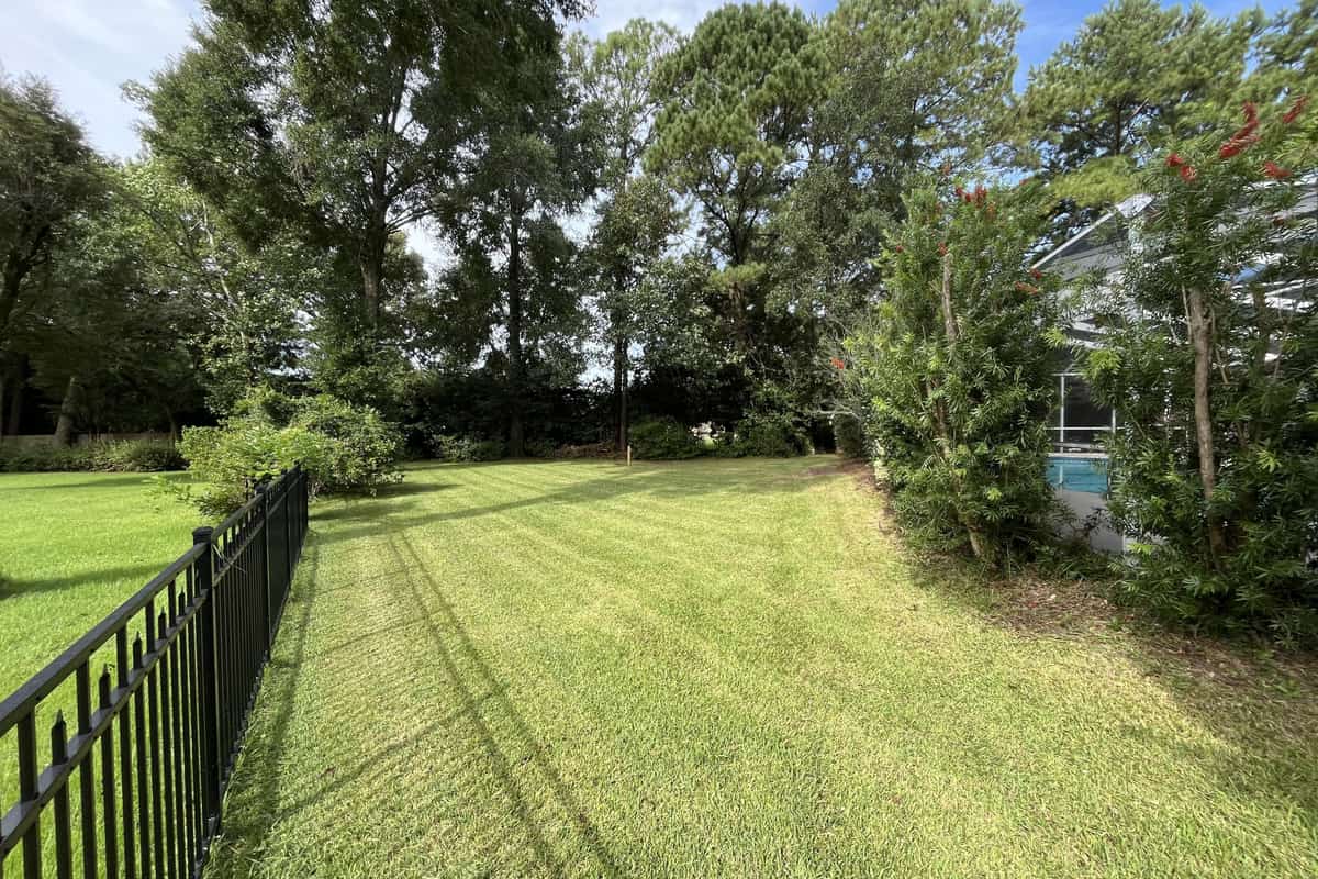 A freshly mowed backyard lawn running along a black aluminum fence toward a pool enclosure, with tall pines behind