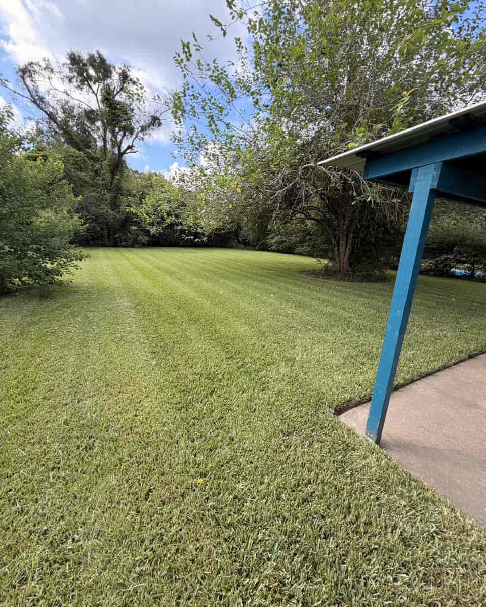 Fresh mowing stripes across a backyard lawn beside a covered patio, with trees along the back fence